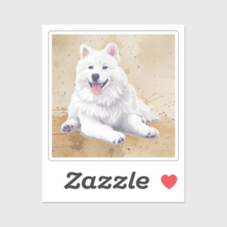 American Eskimo Dog Pet Animal