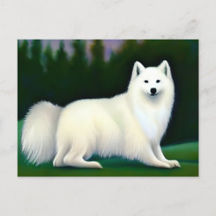 American Eskimo Dog Postcard