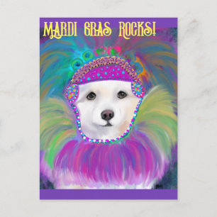 American Eskimo Dog Postcard
