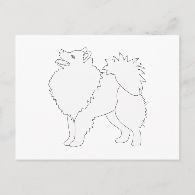 American Eskimo Dog Ready to Colour Design Postcard (Front)