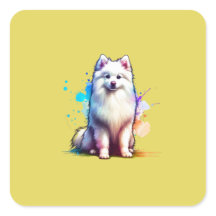 American Eskimo Dog