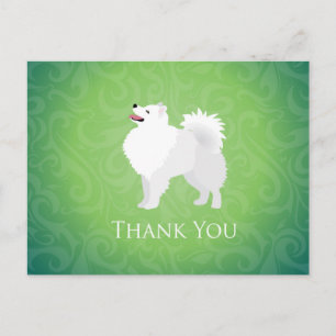 American Eskimo Dog Thank You Design Postcard
