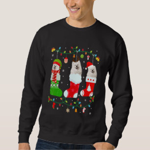 American Eskimo Dog Three Christmas Socks Sweater