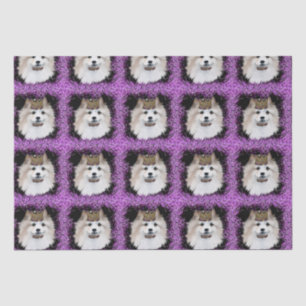 American Eskimo Dog Tissue Paper