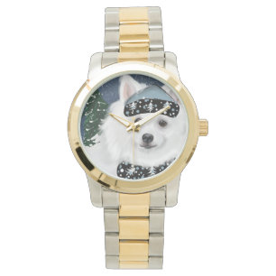 American Eskimo Dog Watch