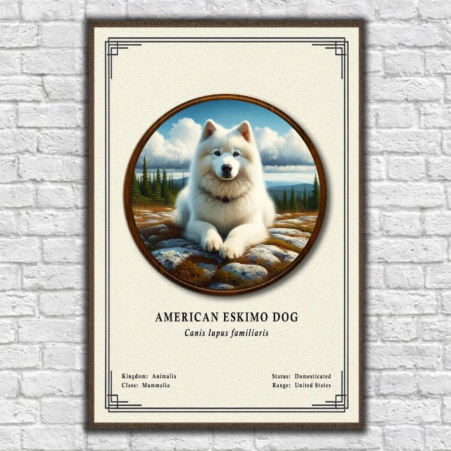 American Eskimo Dog Zoology Series Poster (Creator Uploaded)