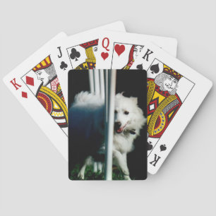 American Eskimo (Eskie) weaving in Shadow Playing Cards