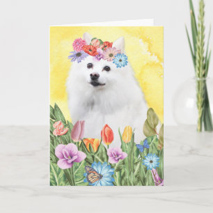 American Eskimo Flowers Spring Card