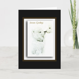 American Eskimo Holiday Card