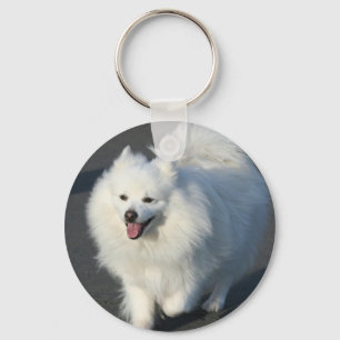 American Eskimo keychain