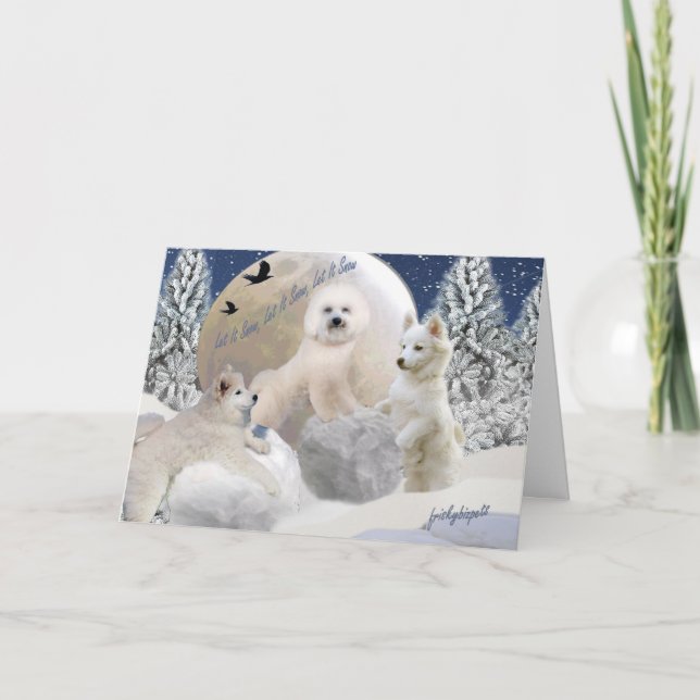 American Eskimo Let It Snow Cards (Front)