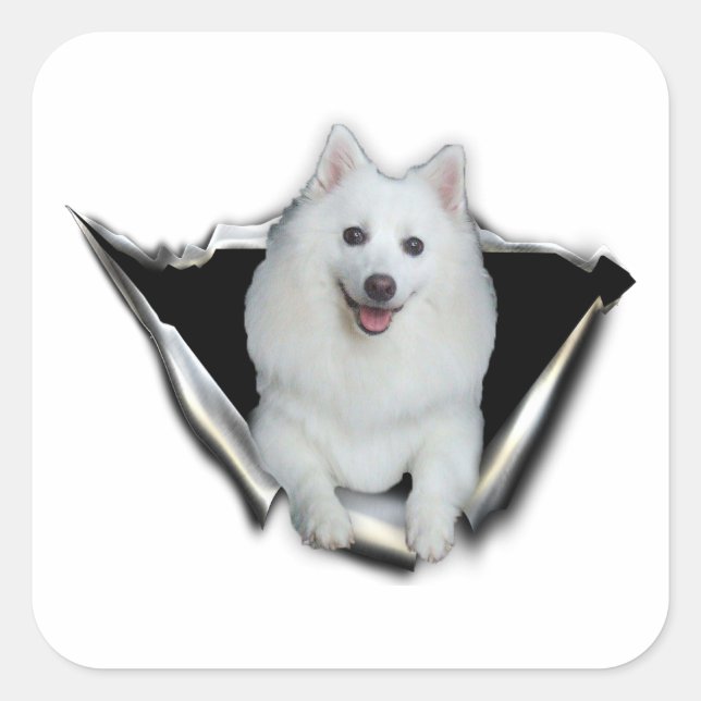 American Eskimo Lovers Square Sticker (Front)
