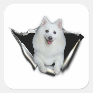 American Eskimo Lovers Square Sticker