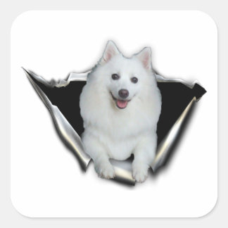 American Eskimo Lovers Square Sticker