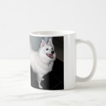 American Eskimo Mug