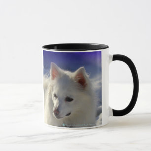 American Eskimo Mug