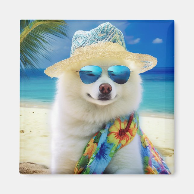 American Eskimo on Beach,summer gift for dog lover Magnet (Front)