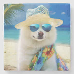 American Eskimo on Beach,summer gift for dog lover Stone Coaster