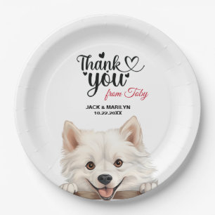 American Eskimo Paper Plate