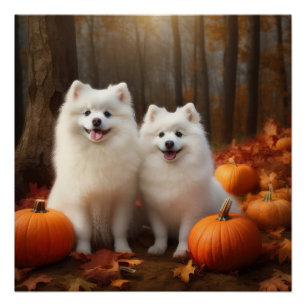 American Eskimo Puppy Autumn Delight Pumpkin Poster