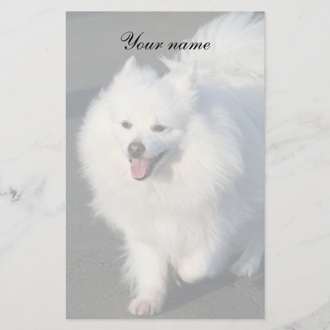 American Eskimo stationary Stationery (Front)
