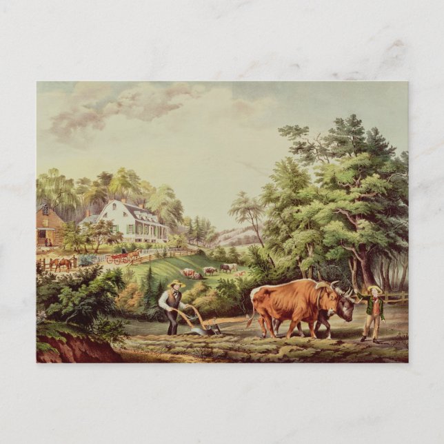 American Farm Scenes Postcard (Front)