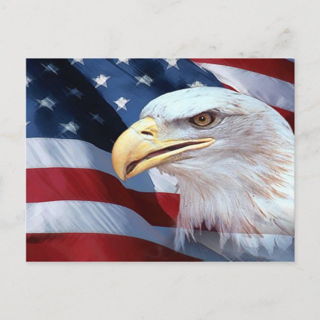 American Flag and Bald Eagle Postcard (Front)