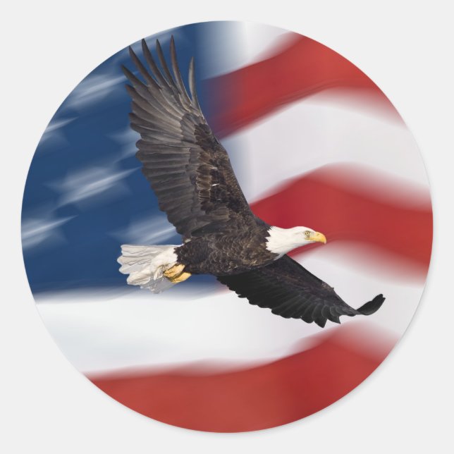 American flag and eagle classic round sticker (Front)