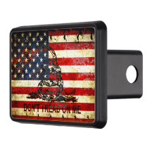 American Flag And Viper On Rusted Metal