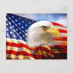 American Flag Bald Eagle Postcard