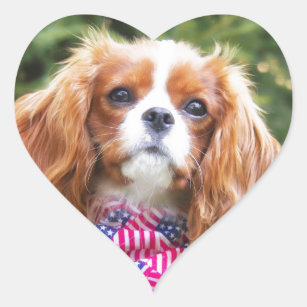 American Flag Cavalier King Charles Spaniel Puppy Heart Sticker