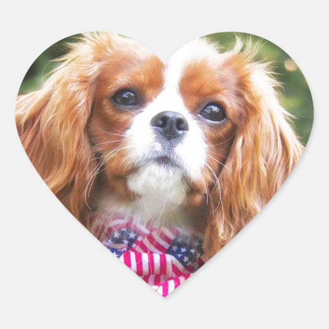 American Flag Cavalier King Charles Spaniel Puppy Heart Sticker (Front)