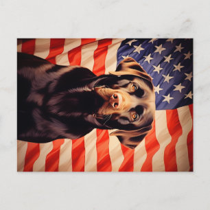 American Flag Chocolate Labrador Postcard