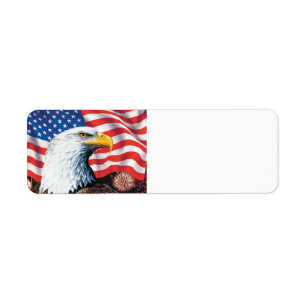 American Flag Eagle