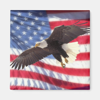 American Flag & Eagle Magnet