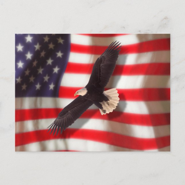American Flag & Eagle Postcard (Front)