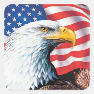 American Flag Eagle Square Sticker