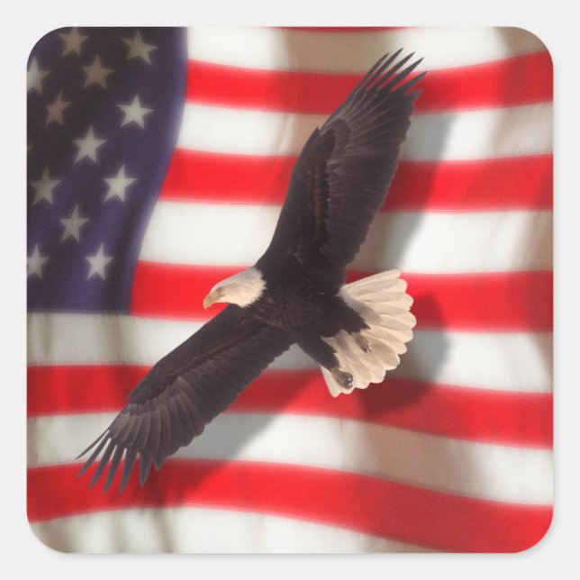 American Flag & Eagle Sticker (Front)
