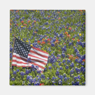 American Flag in field of Blue Bonnets, 2 Magnet