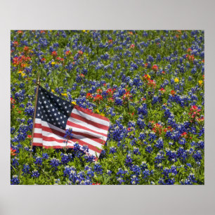 American Flag in field of Blue Bonnets, 2 Poster
