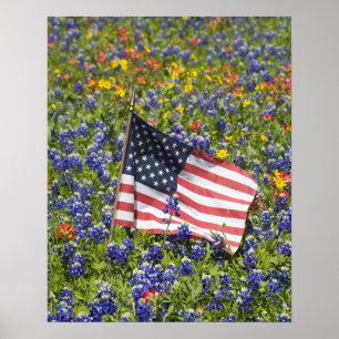 American Flag in field of Blue Bonnets, Poster