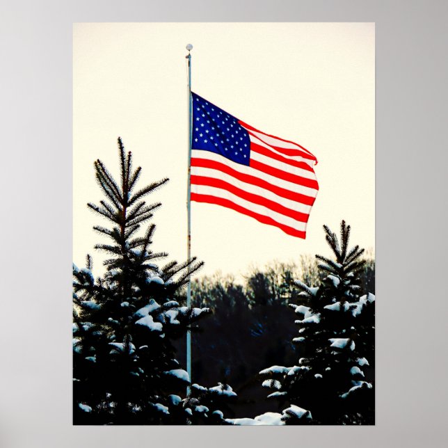 American Flag in Snow Poster (Front)