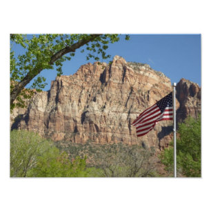 American Flag in Zion National Park I Photo Print