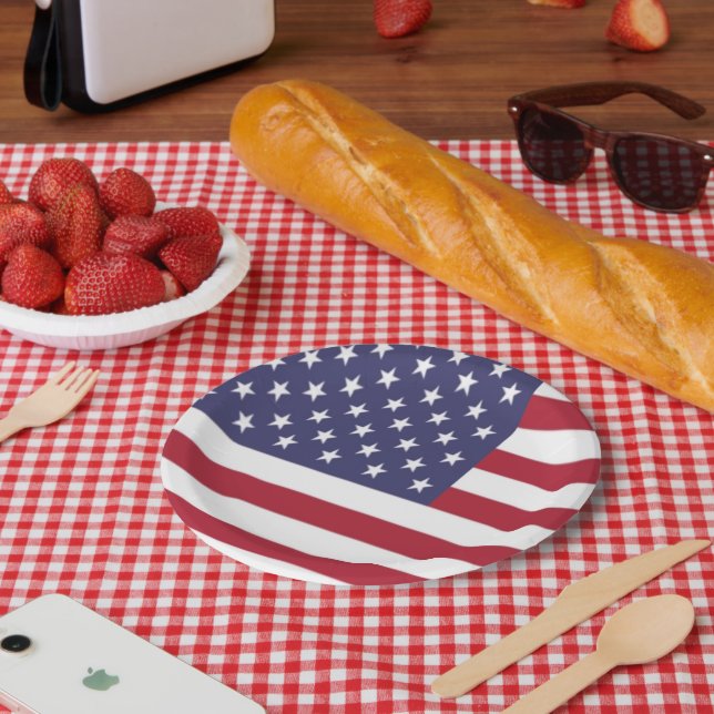 American Flag Paper Plate (Picnic)