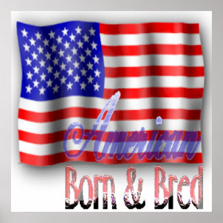 American Flag Poster
