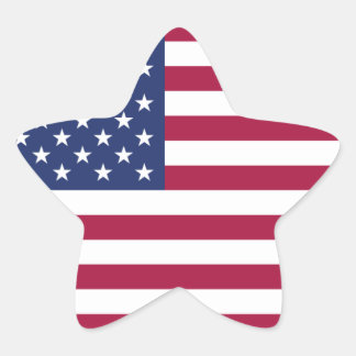 American Flag Star Sticker