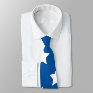 American Flag Stars Tie