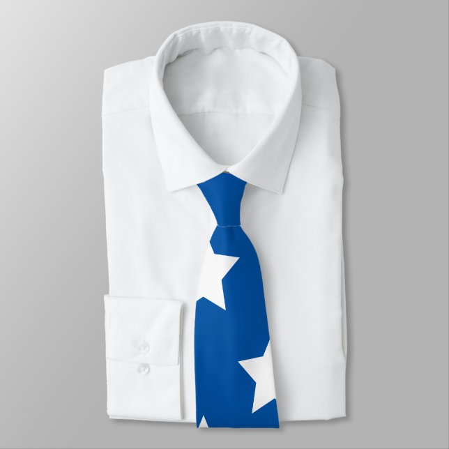 American Flag Stars Tie (Tied)