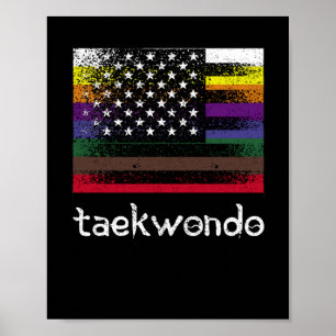 American Flag White Black Belt Colours Poster