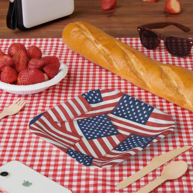 American Flags 4th of July Paper Plate (Picnic)